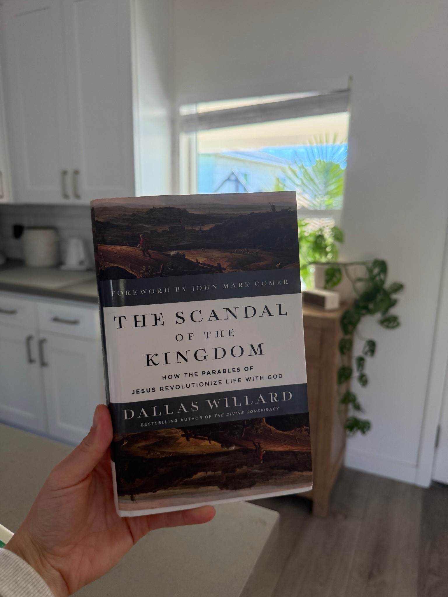 gem of a book 💛 #LTKbooks #LTKreads 