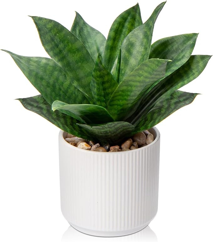 Artificial Agave Succulent Plants Faux Snake Plant Fake Succulent Agave Plant Potted in White Pot... | Amazon (US)