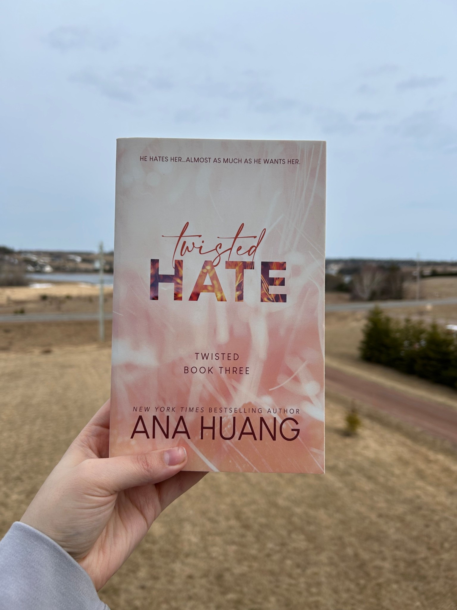 Check out Twisted Hate by Ana Huang 

Book, books, booktok, romance book

#book #romancebook 

#LTKgiftguide #LTKsummer #LTKtravel