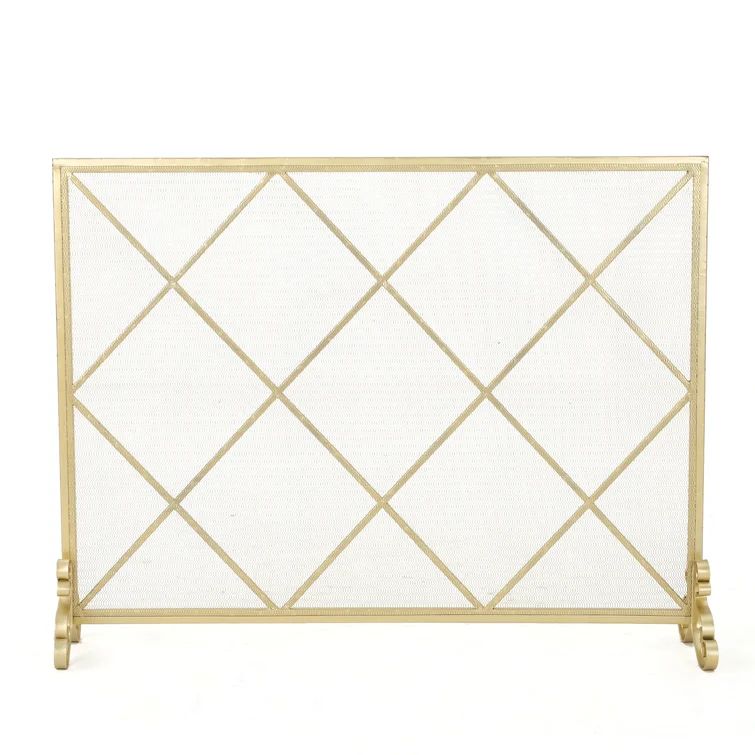 Tepper Iron Fireplace Screen | Wayfair North America