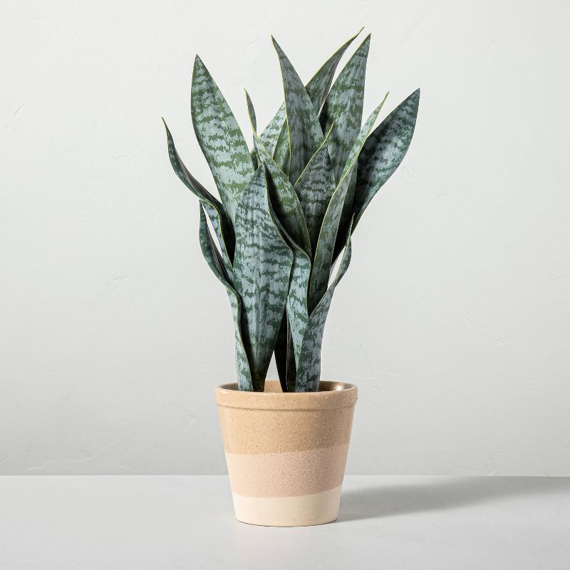 21" Faux Snake Potted Plant - Hearth & Hand™ with Magnolia | Target