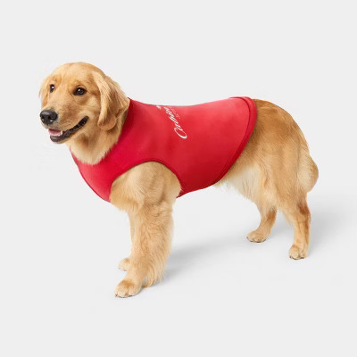 Cabin Crew Dog Sweatshirt - Wondershop™ XXL | Target