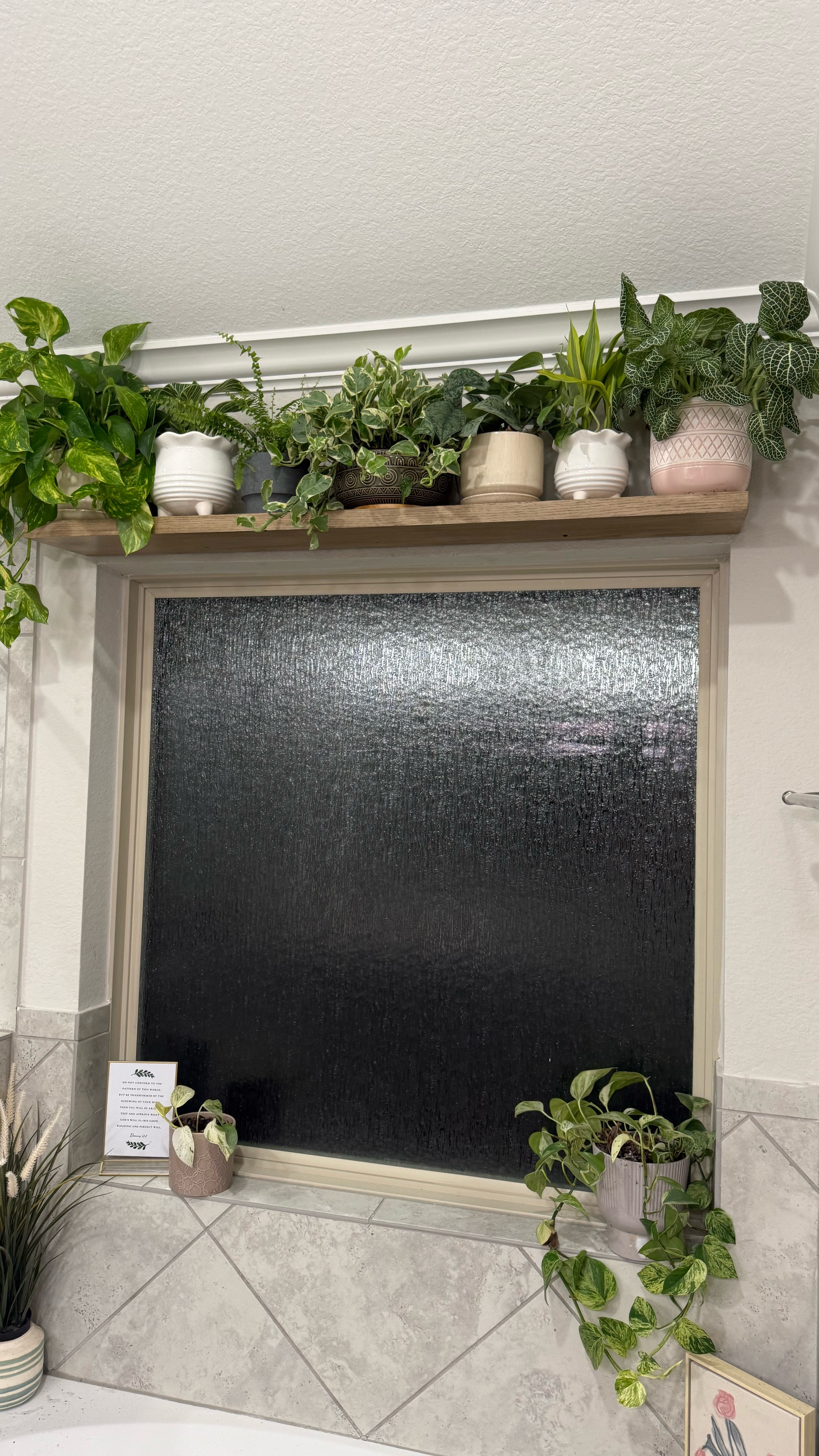 My little plant babies!! I love these planters so much and they are so affordable! The shelf is so sturdy and was easy to put up too!

#LTKHome #LTKFindsUnder50 #LTKSeasonal