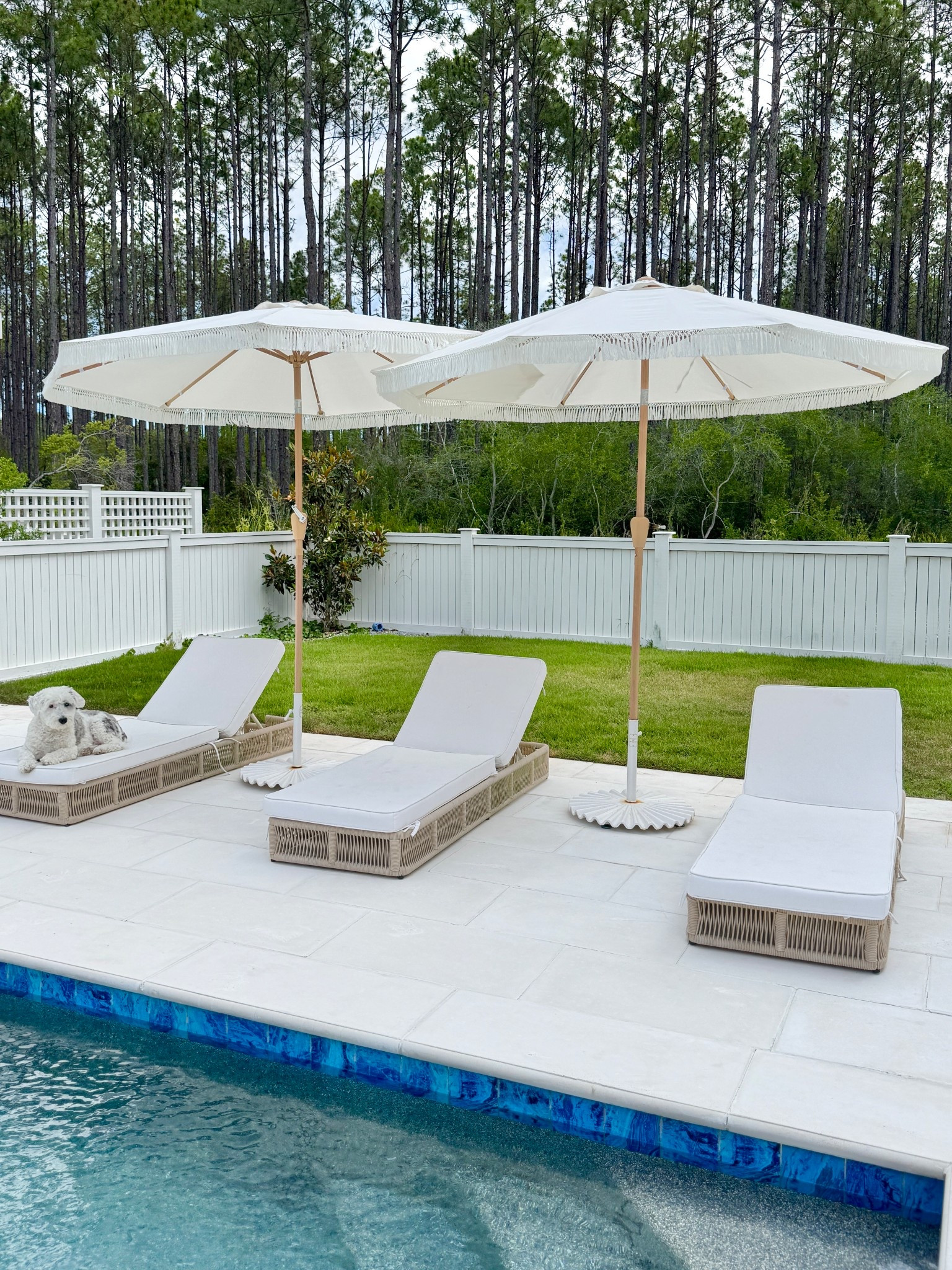Patio furniture. I love that these outdoor umbrellas crank. I replaced the original cushions from these loungers with a more durable option.  



#LTKHome #LTKSeasonal #LTKSaleAlert