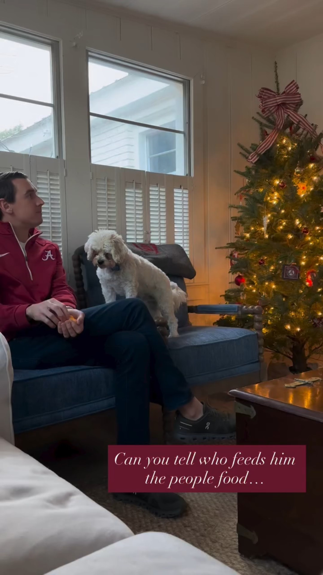 Can you tell who feeds him the people food…

#LTKMens #LTKFindsUnder50 #LTKHome