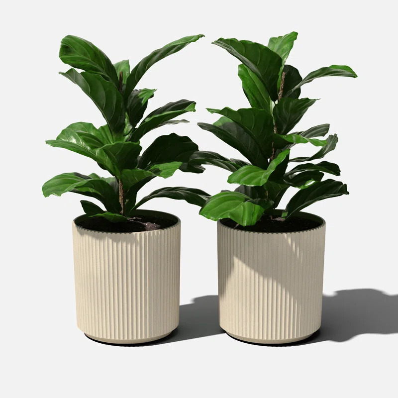 Veradek Demi Series Round Planter | Wayfair North America