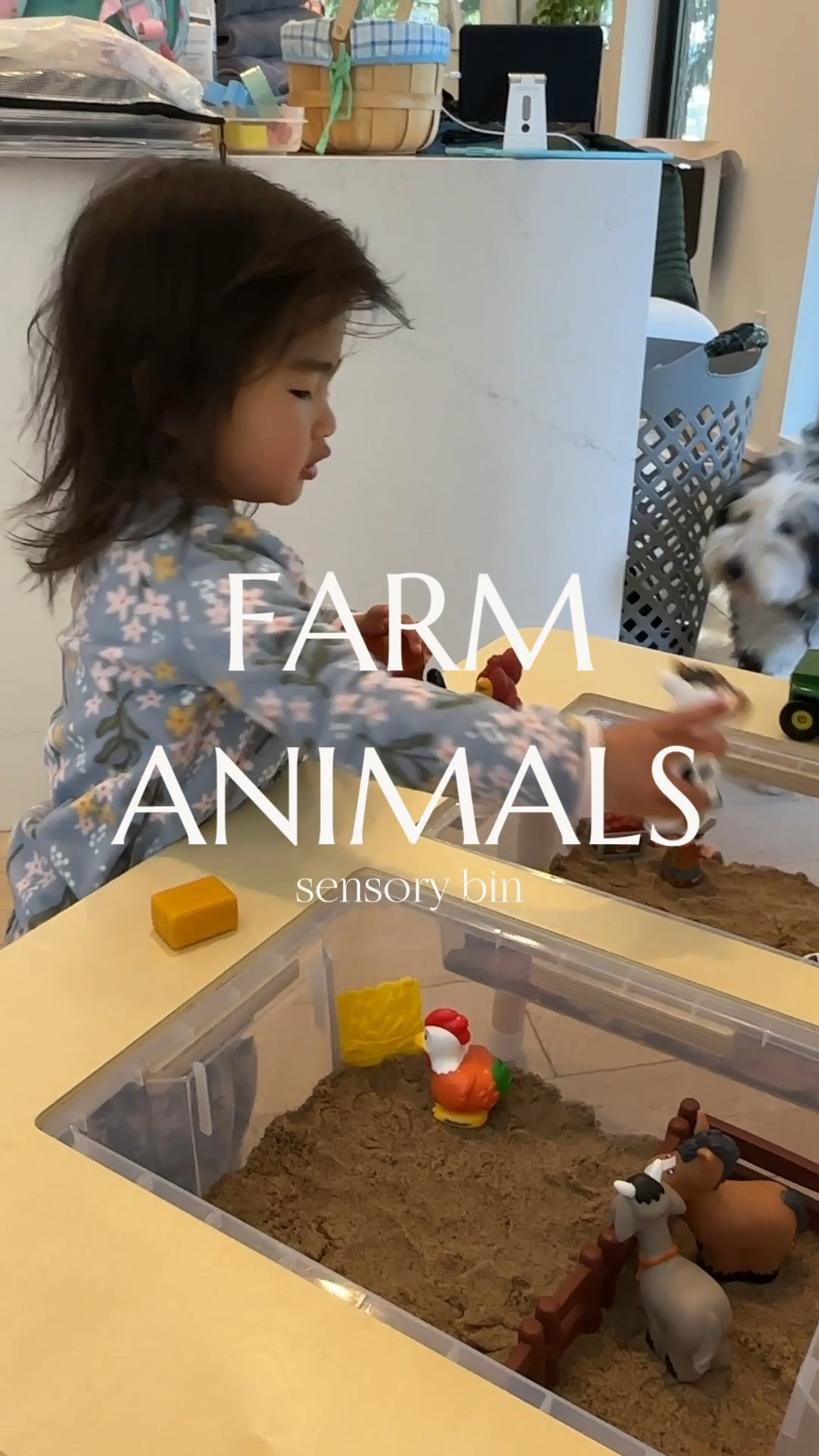 Sensory table

#LTKkids