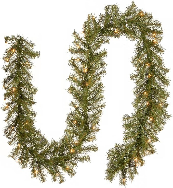National Tree Company Pre-Lit Artificial Christmas Garland, Green, Norwood Fir, White Lights, Plu... | Amazon (US)
