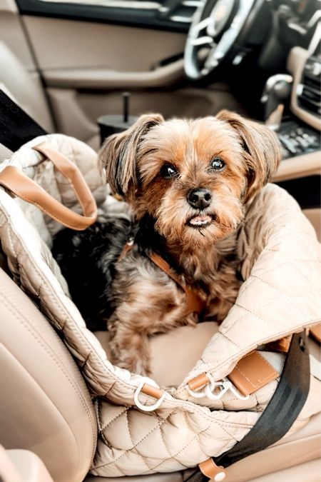 Dog Car Safety Seat Bag. On-the-Go Dog Carrier & Car Seat.  #ltkpet

#LTKStyleTip #LTKGiftGuide #LTKHome