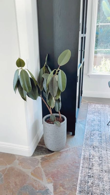 Close-up of this indoor/outdoor planter from Rejuvenation. I love this all weather collection. 

Three different finish option snd lots of sizes available! This is the dark gray for reference. I also love the light gray! 

#planter #pottedplant #pottedtree #indoorplants 

#LTKSeasonal #LTKhome