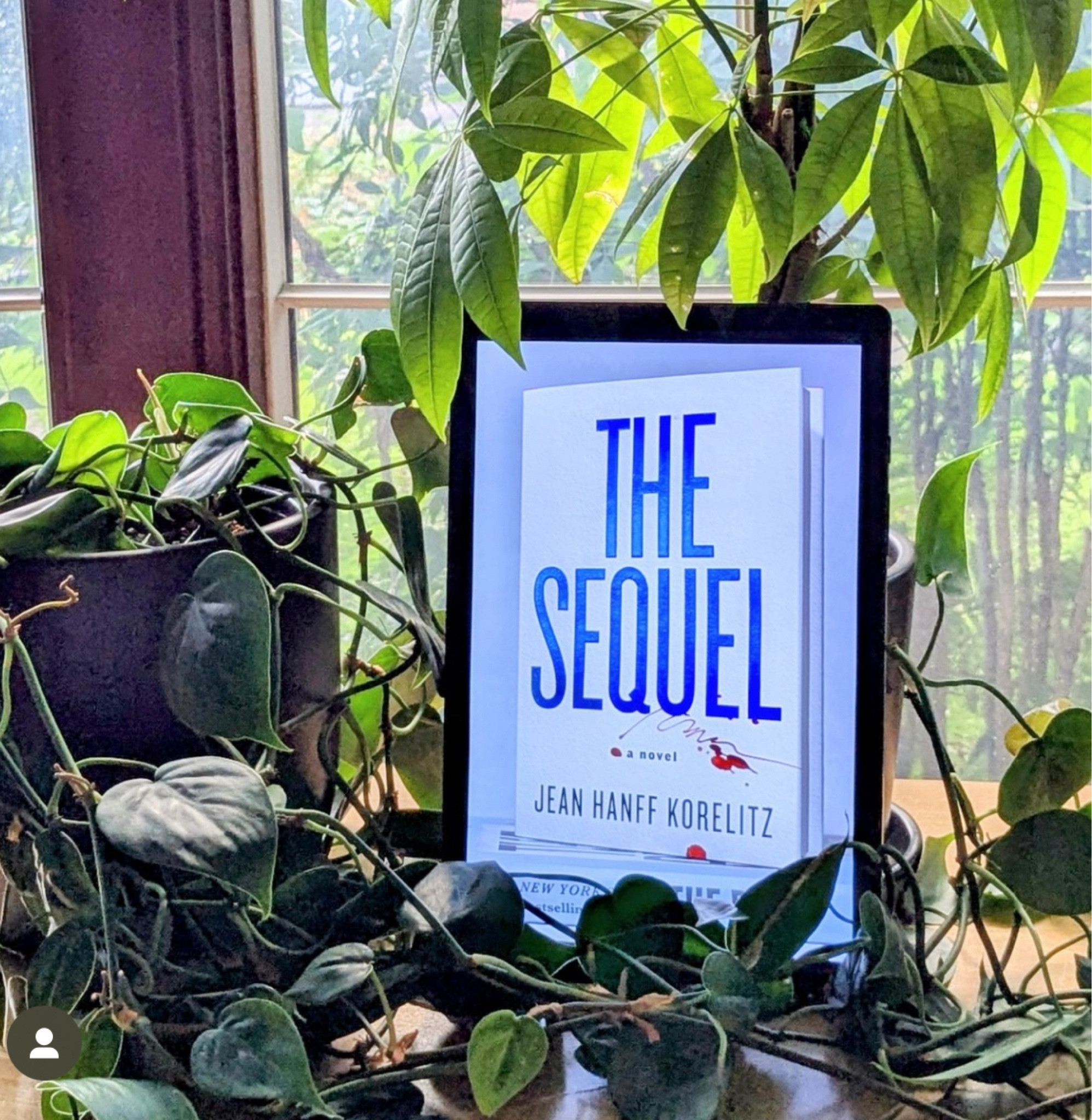 The Sequel by Jean Hanff Korelitz ⭐⭐⭐💫

I did not read The Plot but decided to pick this one up. There seemed to be some key parts that were missing. Maybe that is the reason why this book was just OK. 

#thesequel #books #bookrecs #bookreviews 

#LTKFamily #LTKHome #LTKTravel