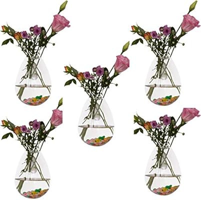 5 Packs Wall Hanging Planters Glass Plant Pots Water Plant Containers Glass Flower Pots Wall Hang... | Amazon (US)