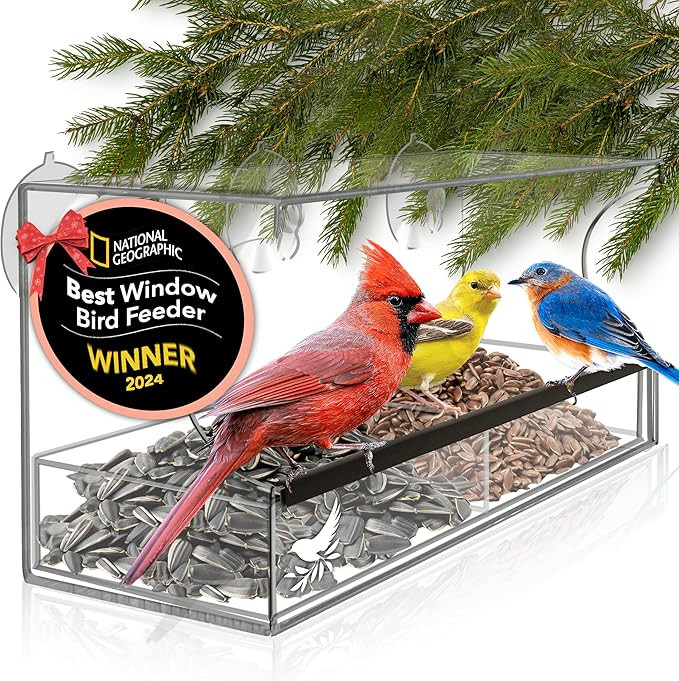 Window Bird Feeder Easy to Use to Attract Birds, Cool and Unusual for Adults who have Everything,... | Amazon (US)