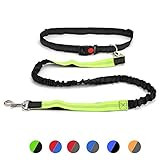 DIFFLIFE Hands Free Dog Leash, Retractable Dual Handle Bungee Leash, Adjustable Waist Dog Running Be | Amazon (US)