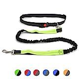 DIFFLIFE Hands Free Dog Leash, Retractable Dual Handle Bungee Leash, Adjustable Waist Dog Running Be | Amazon (US)