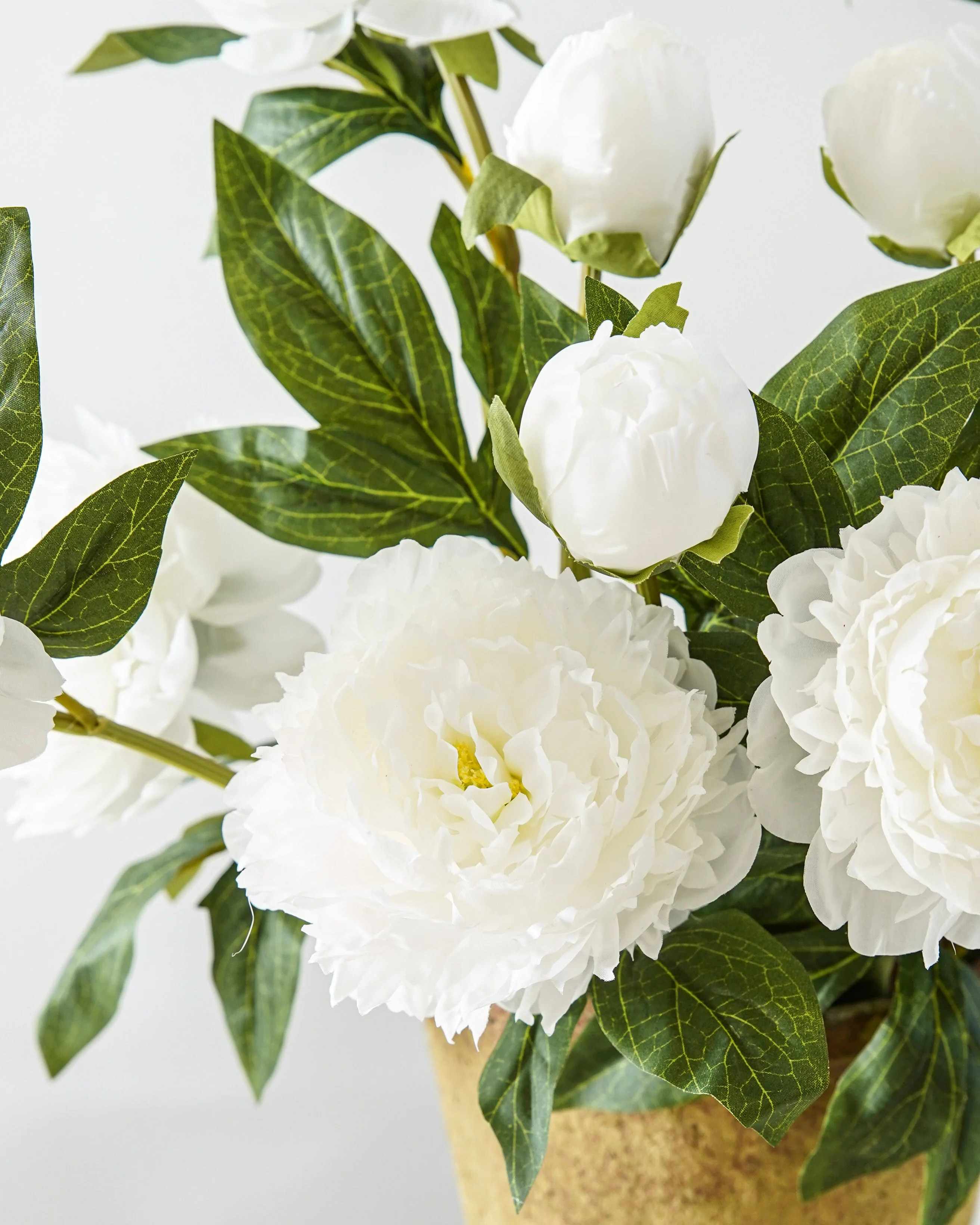 Peony Blossom Stem | MJHome