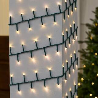 400 Count Grand Duchess Color Changing Warm White to Multi-Colored Twinkling Steady Lit Micro LED... | The Home Depot