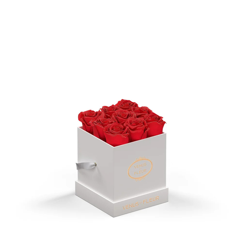 Le Mini™ Square | Venus ET Fleur