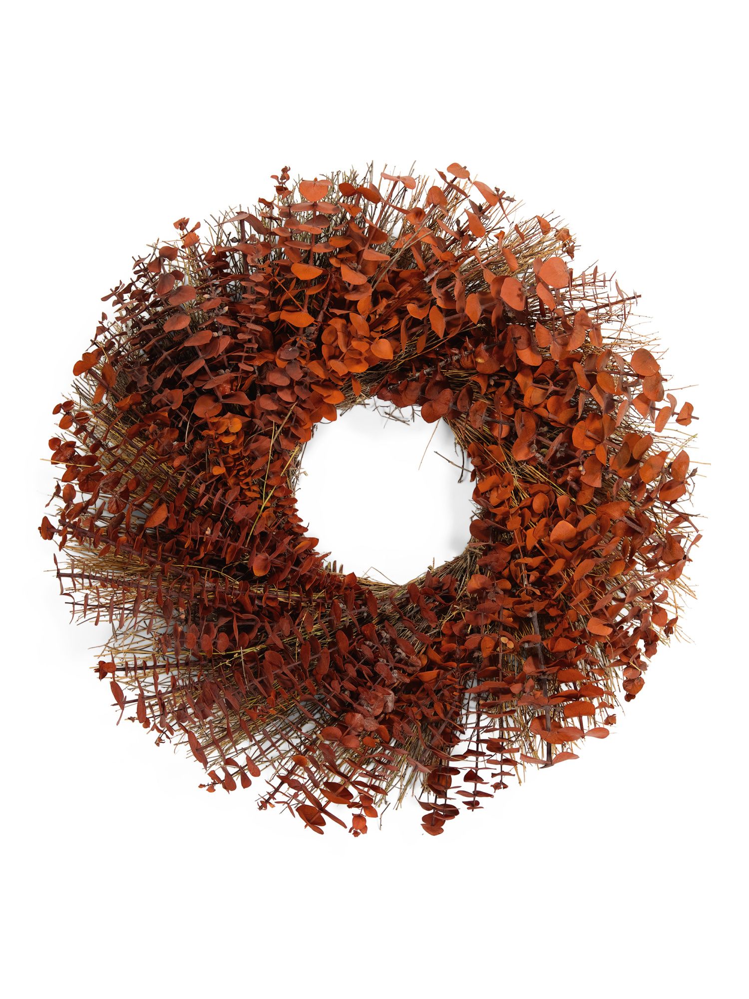 22in Dried Preserved Eucalyptus Wreath | TJ Maxx