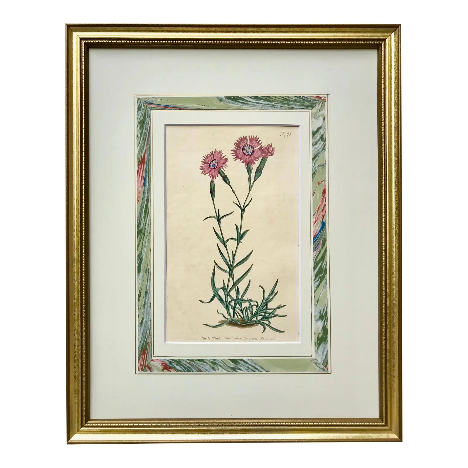 Antique Hand Colored Curtis Floral Botanical Etching 1804 Pink Flowers French Matte | Chairish