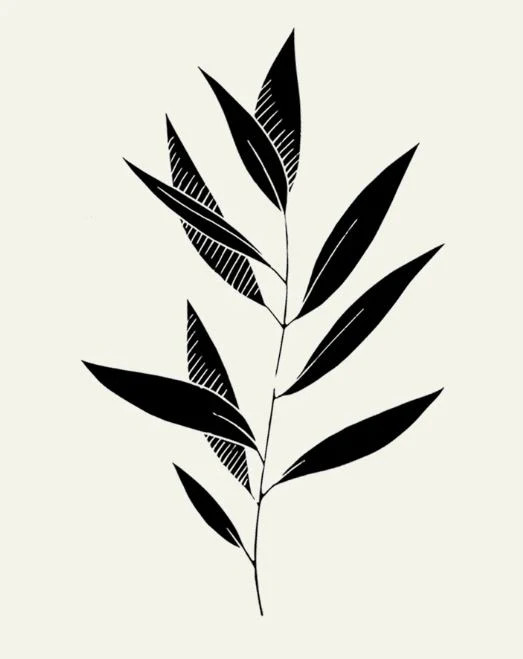Eucalyptus I | Collection Prints