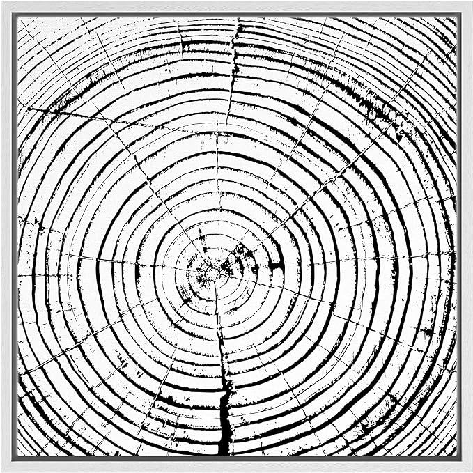 SIGNWIN Framed Canvas Print Wall Art Spiral Ink-Print Wood Ring Closeup Abstract Plants Illustrat... | Amazon (US)