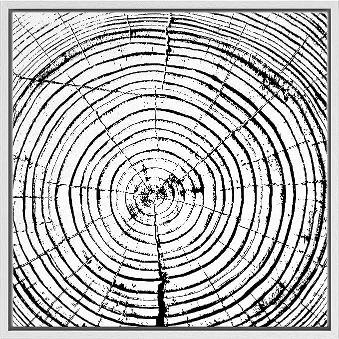 SIGNWIN Framed Canvas Print Wall Art Spiral Ink-Print Wood Ring Closeup Abstract Plants Illustrat... | Amazon (US)