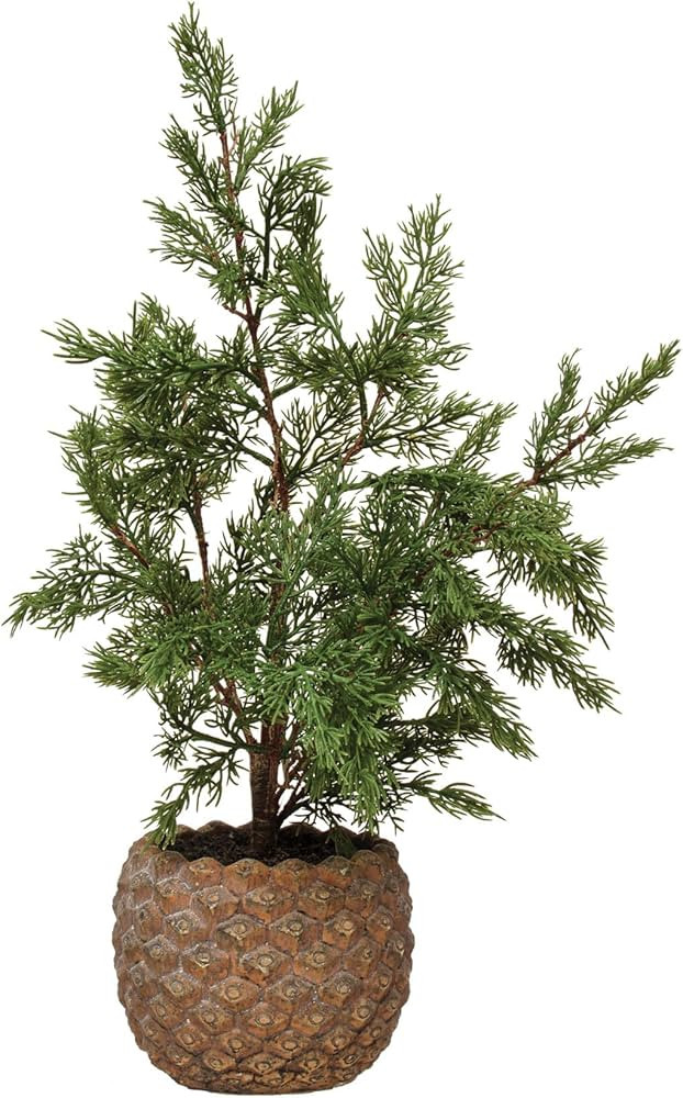 Creative Co-Op Faux Hinoki Cypress Tree in Pinecone Shaped Cement Pot, Distressed Finish | Amazon (US)