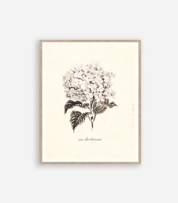 Vintage Hydrangea French Botanical Print Watercolor Illustration Wall Art Digital Download Sepia ... | Etsy (US)