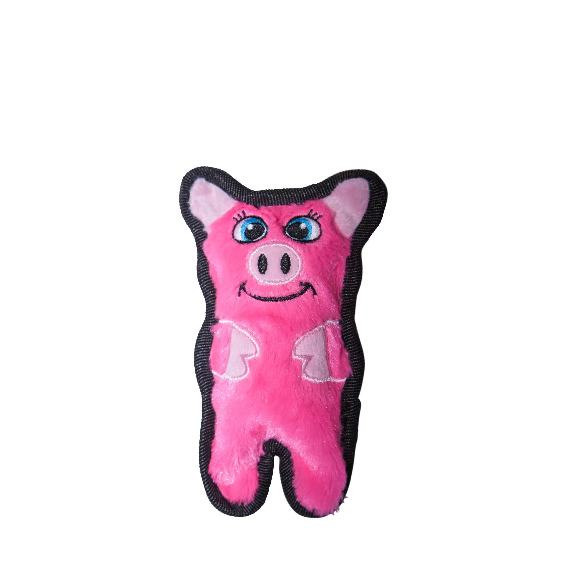 Outward Hound Invincible Mini Pig Dog Toy, Small | Petco