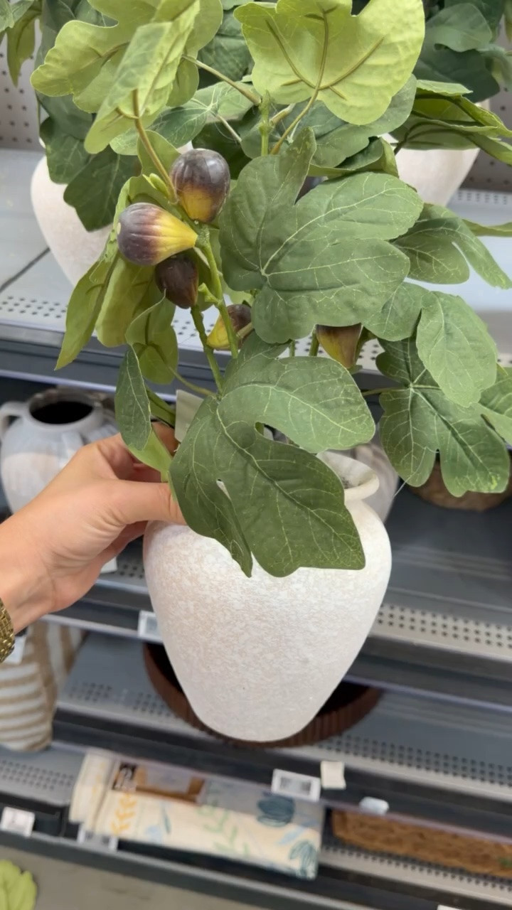 I’m linking this faux fig leaf arrangement because it adds the perfect touch of greenery without any maintenance.

The textured ceramic vase and realistic fig branches make it easy to style on a console table, shelf, kitchen counter, or entryway. It brings in organic texture while keeping the look clean and timeless.

One of those simple decor pieces that makes a space feel finished year-round.
@Walmart

#LTKSaleAlert #LTKU #LTKHome