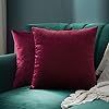 JUSPURBET Velvet Pillow Covers 18x18 Inches,Pack of 2 Throw Pillow Covers for Sofa Couch Bed,Deco... | Amazon (US)