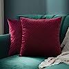 JUSPURBET Velvet Pillow Covers 18x18 Inches,Pack of 2 Throw Pillow Covers for Sofa Couch Bed,Deco... | Amazon (US)