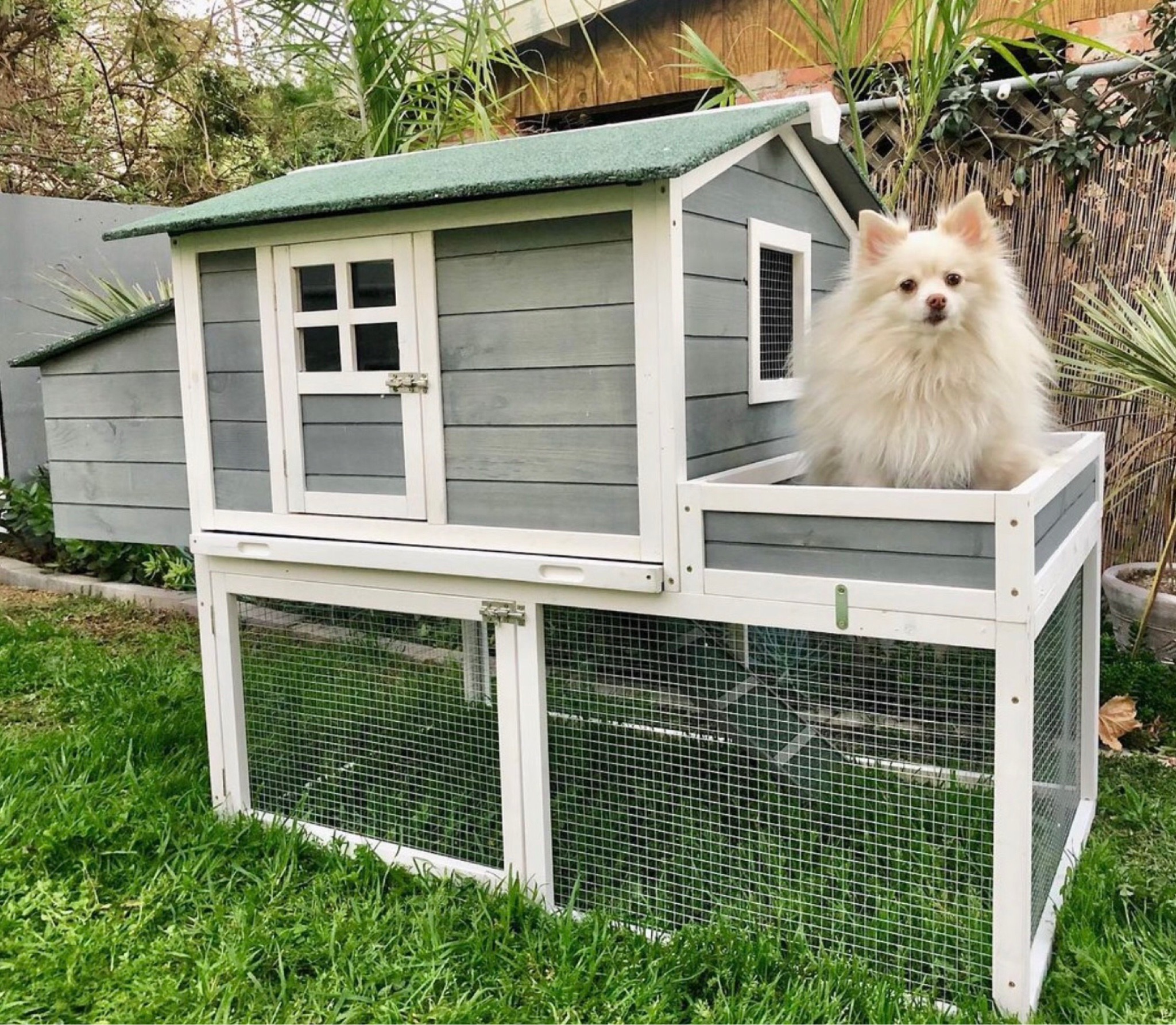 This chicken coop is absolutely adorable  🐓 Add a mini flock to your backyard. 

#LTKhome