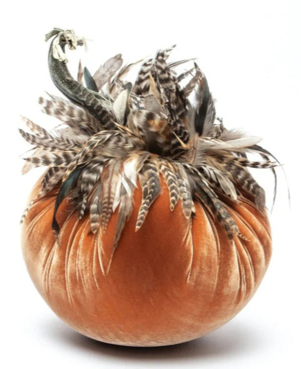 Spice w/Red Chinchilla Collar | Hot Skwash