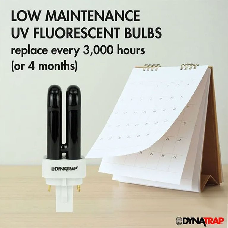 Dynatrap Smokeless Flying Insect Trap with Pole Stand and Water Tray, Black | Walmart (US)