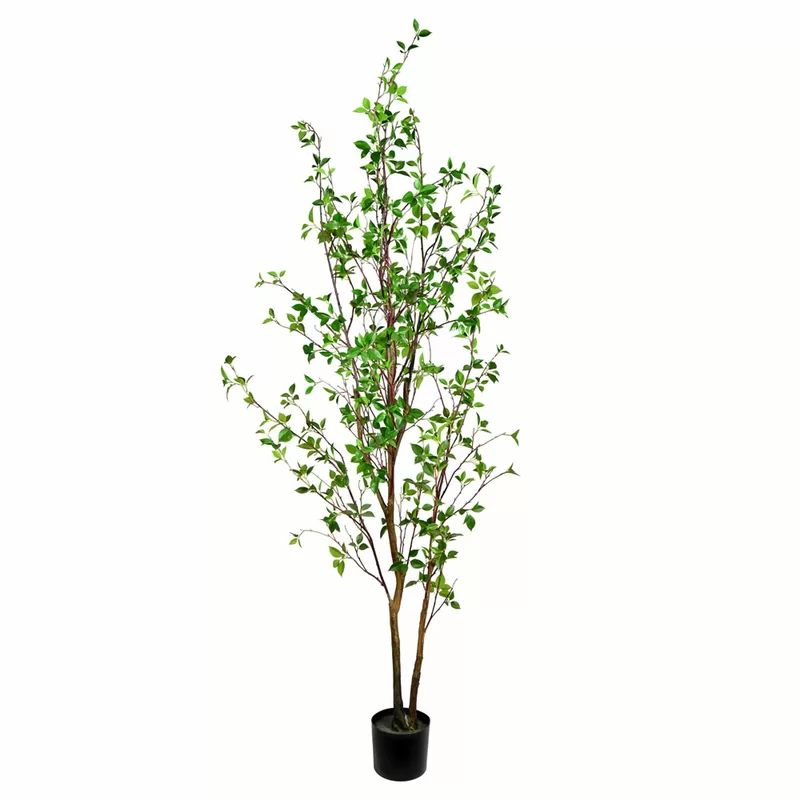 Artificial Potted Baby Leaf Tree | Wayfair Professional