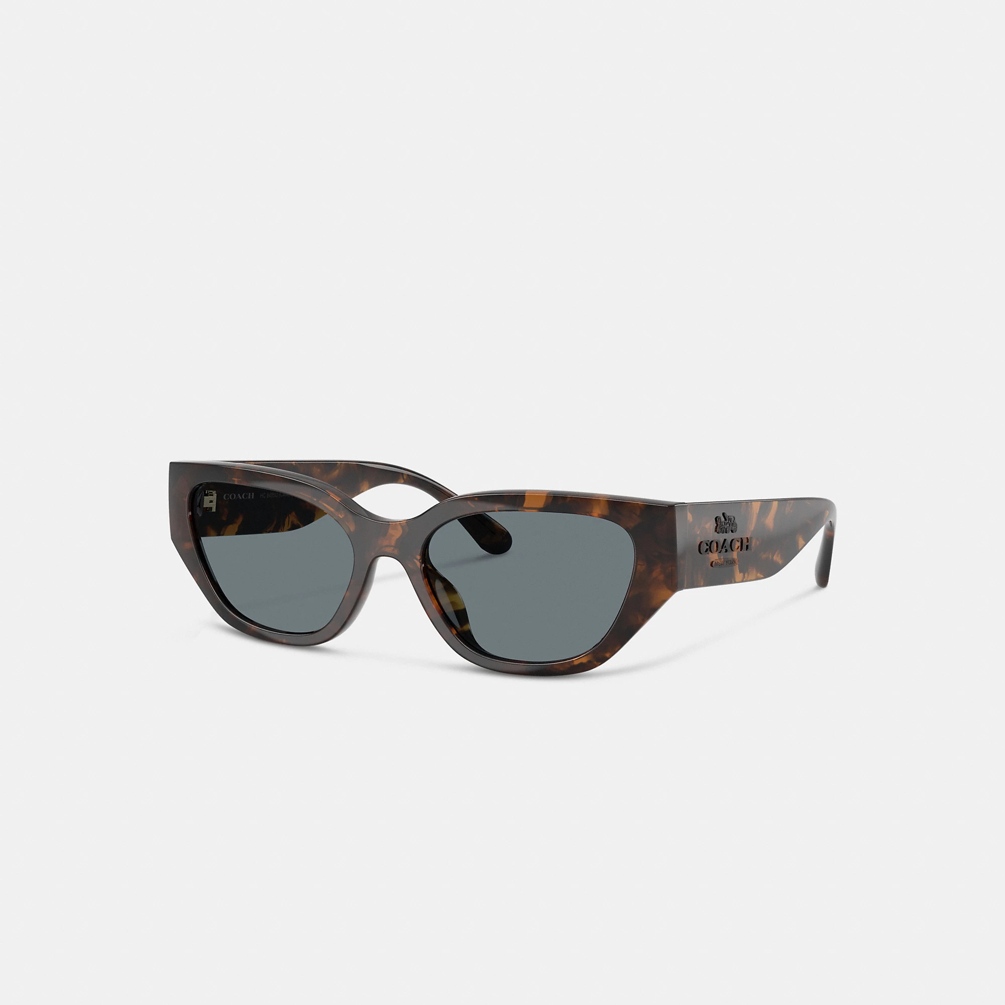 Geometric Cat Eye Sunglasses | Coach Outlet US