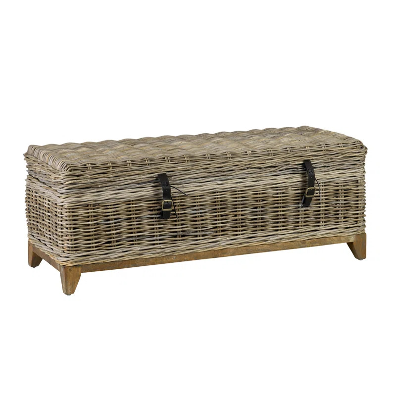 Morant Wicker Trunk | Wayfair North America