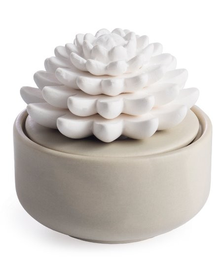 Airomé by Candle Warmers Tan & White Porcelain Succulent Essential Oil Diffuser | Zulily