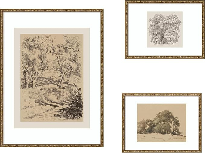 Sketches of Nature by Fry, Becker & Bosboom 3 Piece Framed Wall Art Print Set by Nostalgia Prints | Amazon (US)