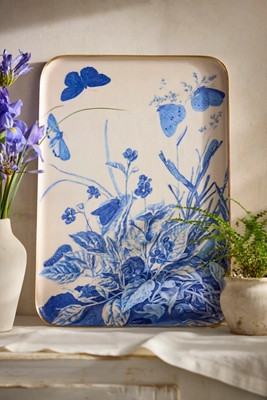 Printed Archival Tray, Extra Large | Terrain