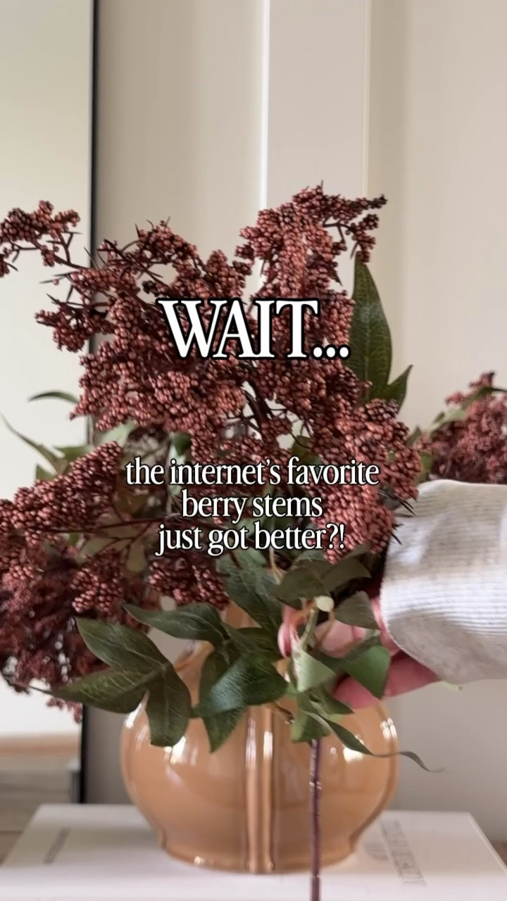 Can’t believe it’s Amazon 🤩

Snag them now so you’re not sorry later 😆 these Amazon berry stems will absolutely sell out at this price! I love these year round but they are an absolute must for fall and the holiday season!

The internet’s favorite berry stems now come in a shorter 15” length, and in a set of 9 for a much more affordable price! I’m loving this set - so much more affordable and easier to style!

#LTKHome