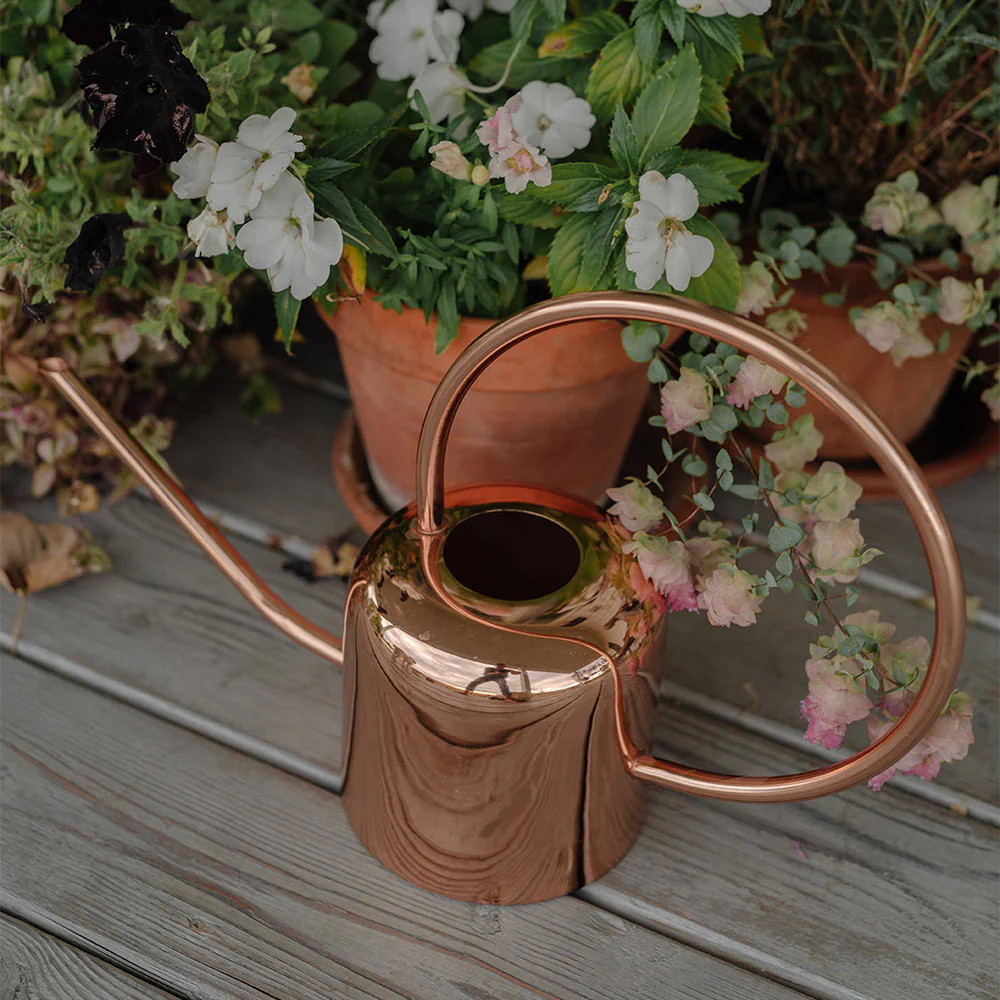 Copper Watering Can | Roan Iris