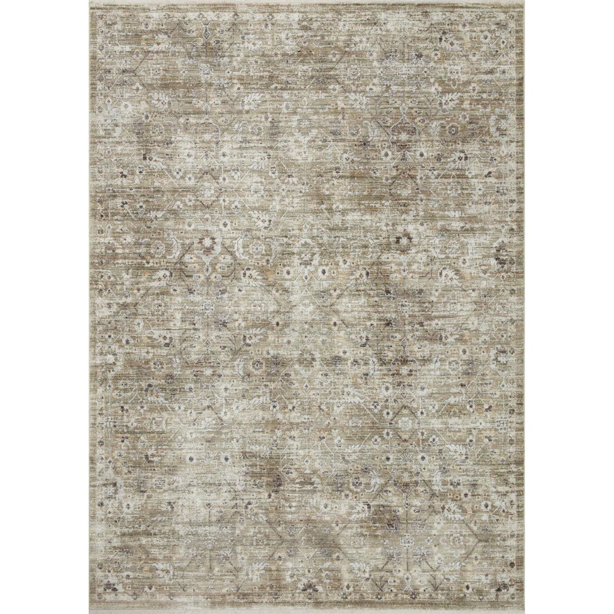 Bonney Oriental Indoor Rug | Wayfair North America
