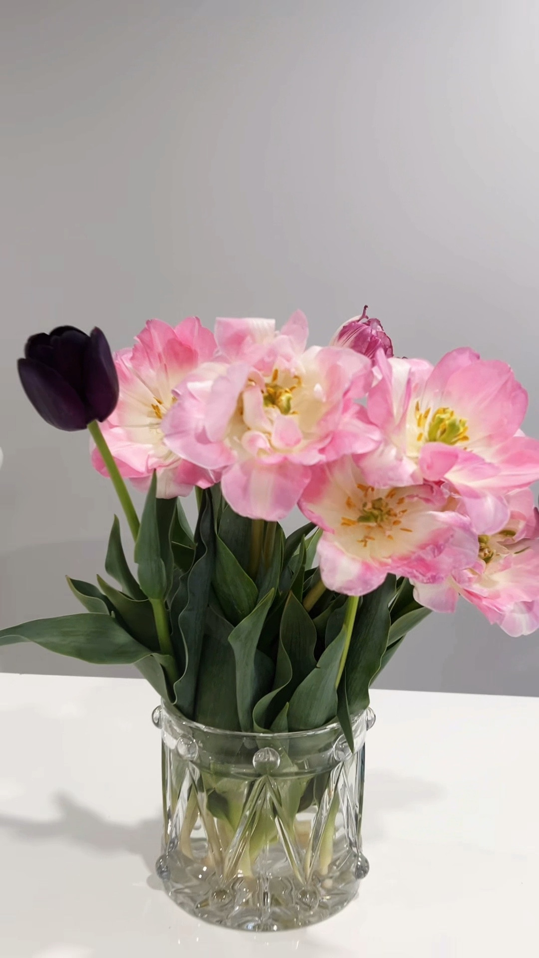 The beauty of the Flowers 🌷🌷Tulips 🌷#tulipsbase #flowers #tulipsseason 

https://amzn.to/4sbZQpz

#LTKSeasonal #LTKmomlife #LTKdayinmylife