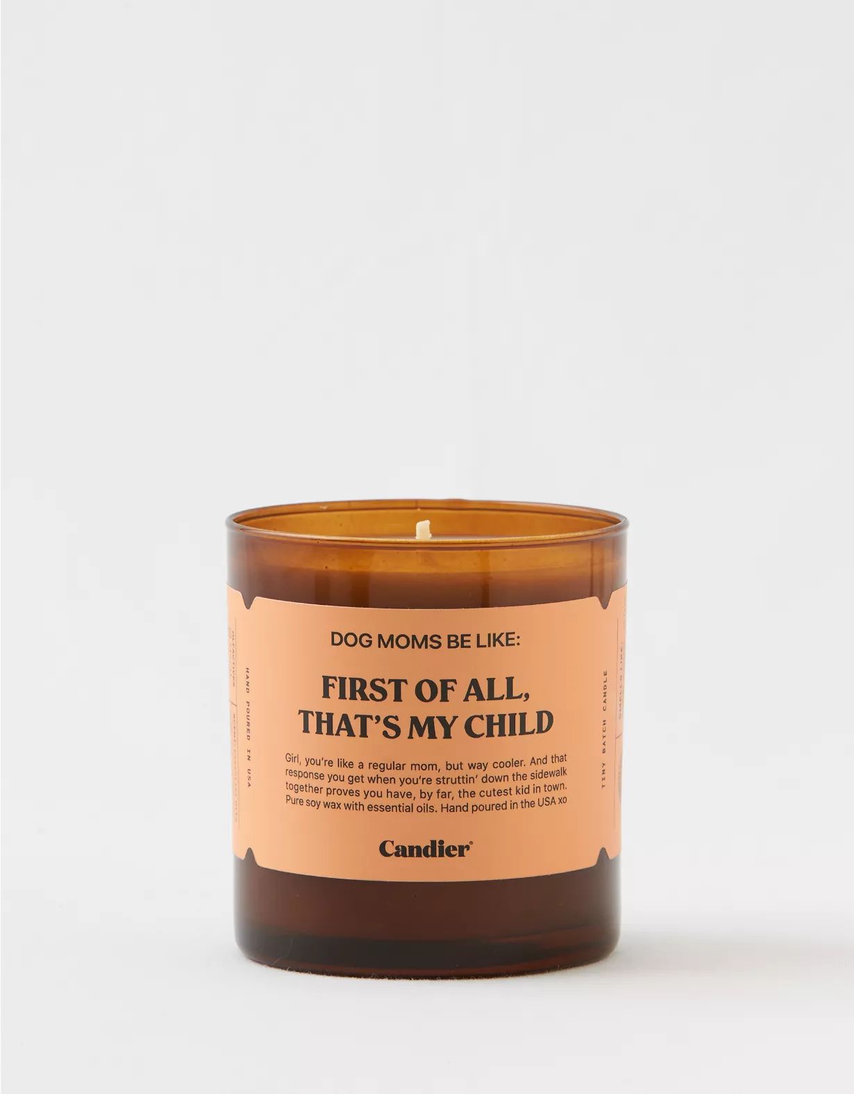 Candier Dog Mom Candle | Aerie