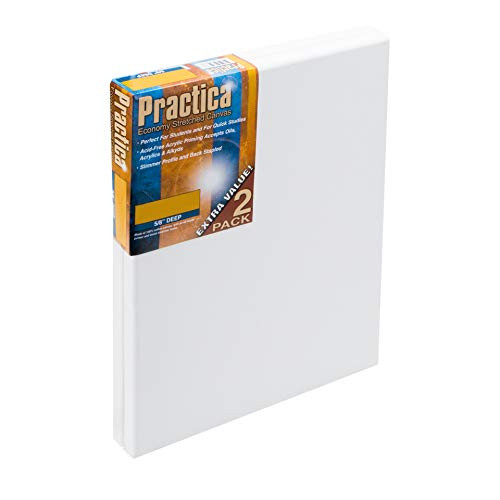 Practica Economy Stretched Cotton Canvas - Acid-Free Acrylic Primed Canvas for Acrylics, Pastels, Graphite, & More! - [2-Pack - 5x7"] | Amazon (US)