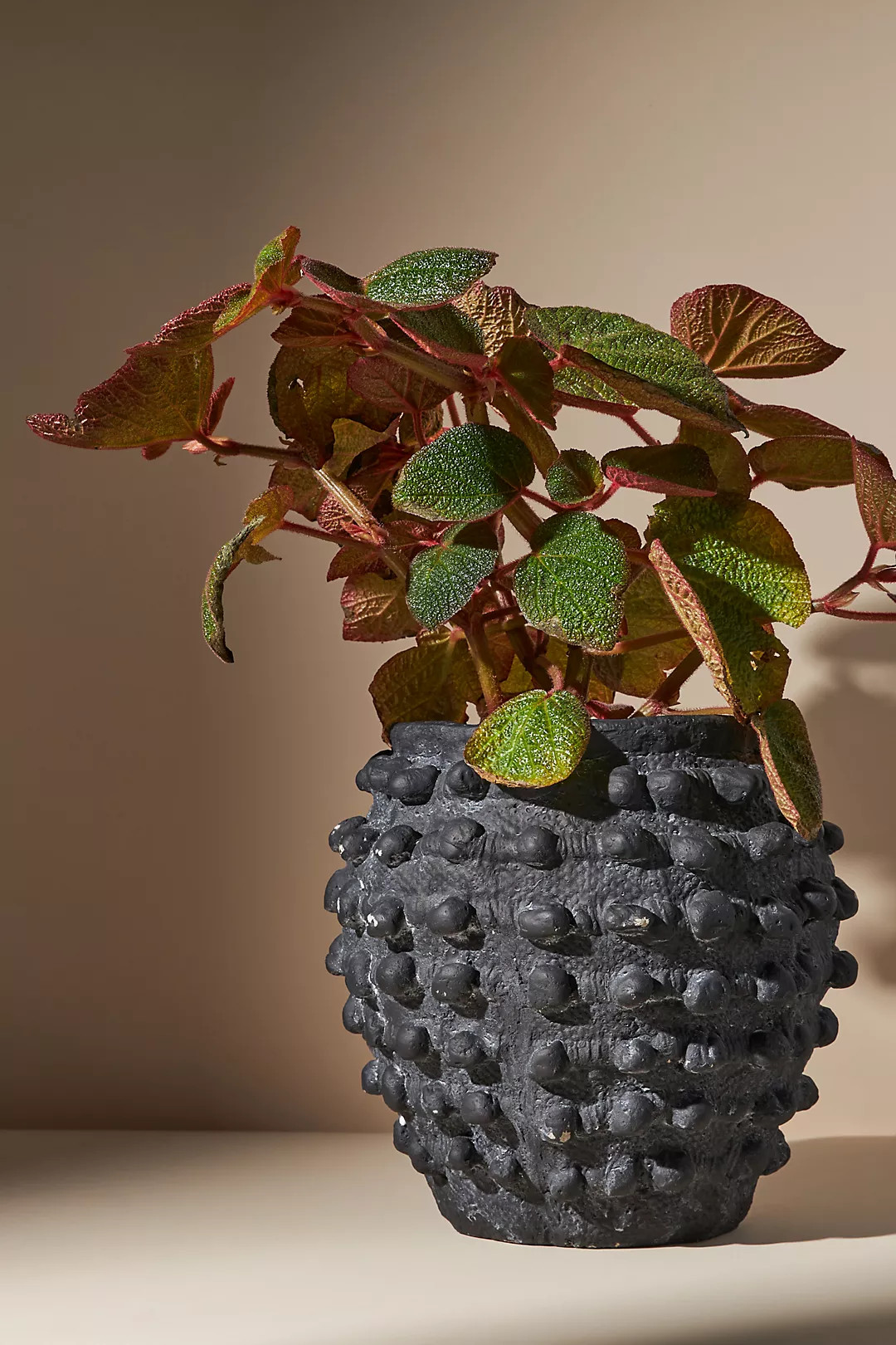 Minka Textured Pot | Anthropologie (US)