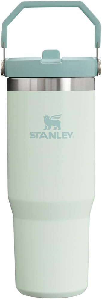 Stanley IceFlow Flip Straw Tumbler with Handle | Twist On Lid and Flip Up Straw | Leak Resistant ... | Amazon (US)